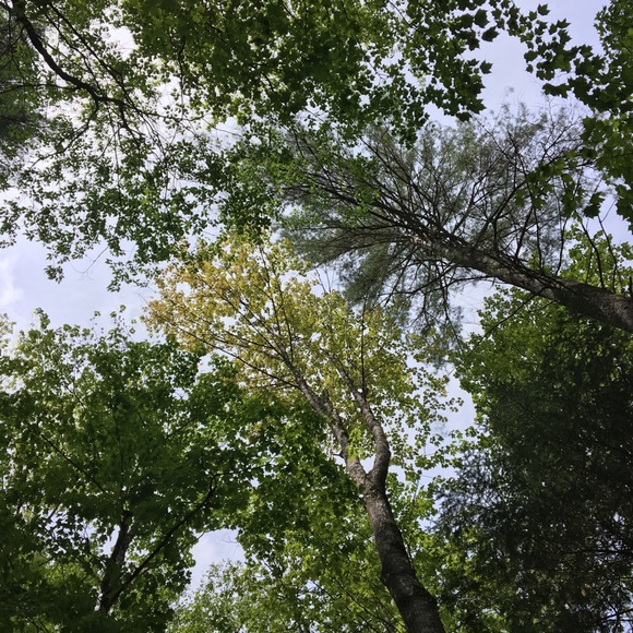 Meet your Posher, Abbie - Picture 1 of 1